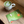 Load image into Gallery viewer, Adult Multi + Omega-3 Patch