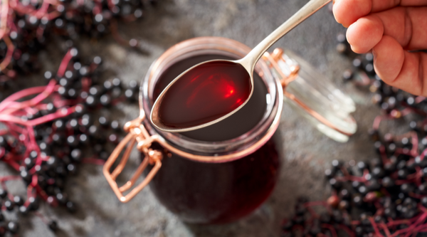 Why Black Elderberry Extract is a Must-Have for Your Wellness Routine
