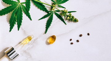 Celebrating National CBD Month: Your Guide To CBD